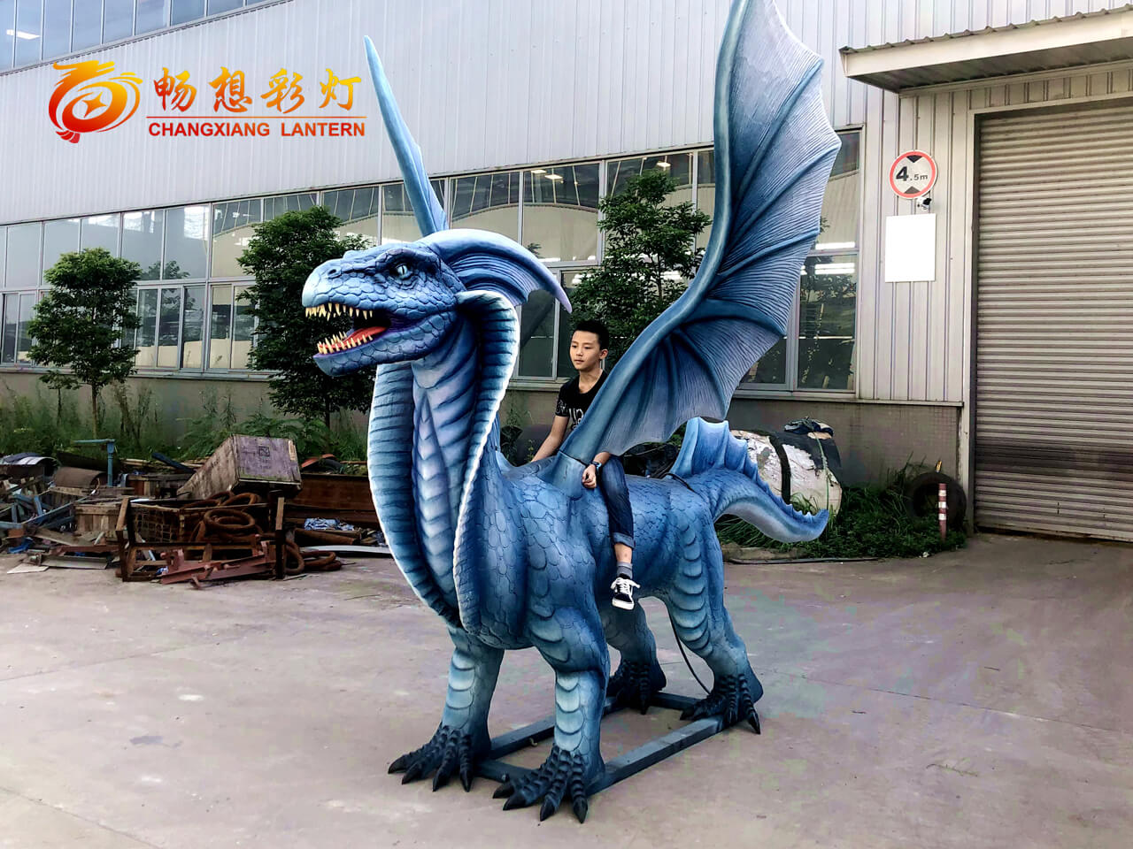 定制神兽坐骑